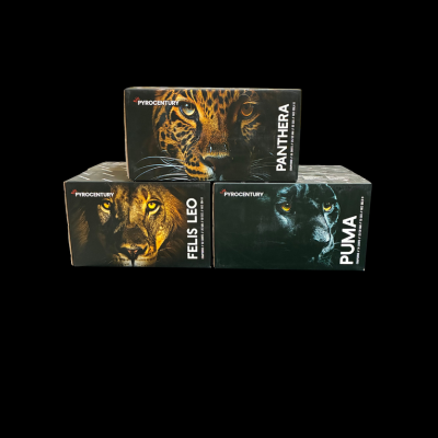 ANGEBOT 3x "Pyrocentury" Verbund