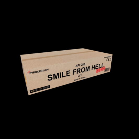 Smile From Hell "Pyrocentury" 288 Schuss Verbund